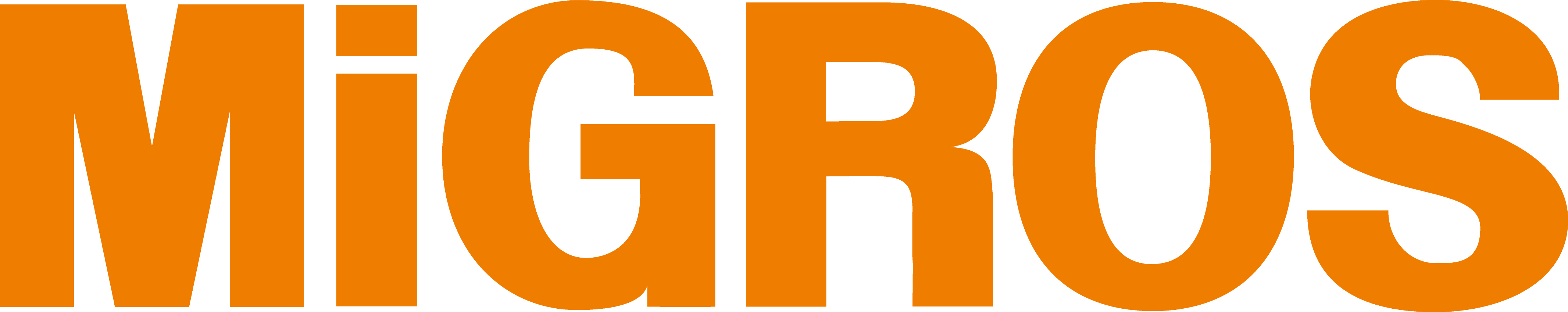 Referans Görsel